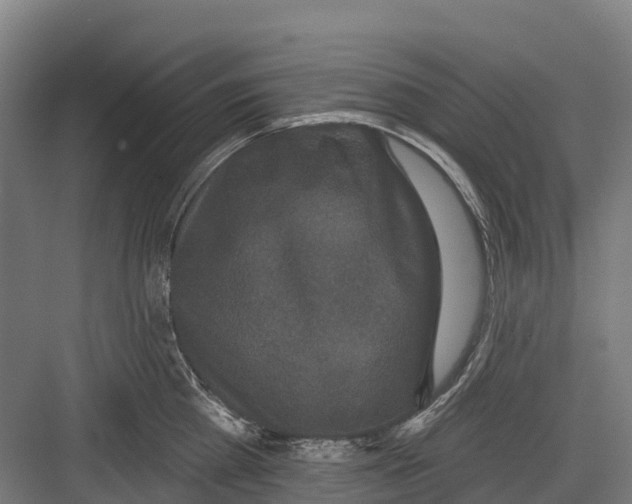 X0000082680809200702161656