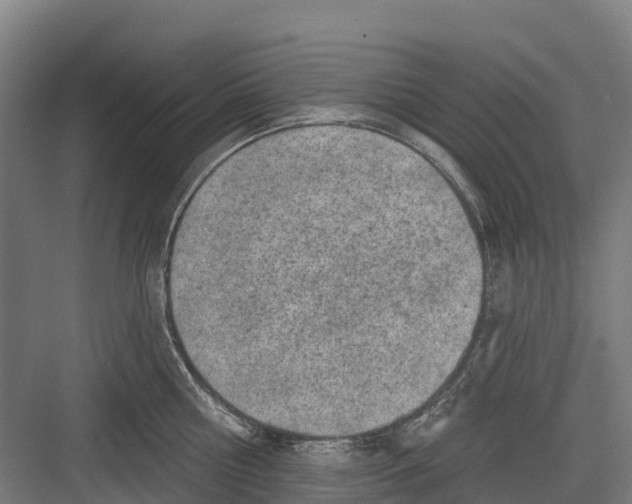 X0000082680810200702161656