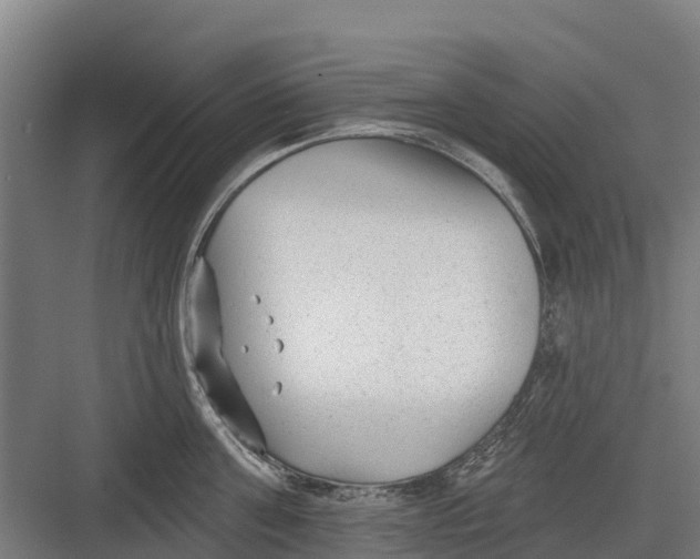 X0000082680811200702161656