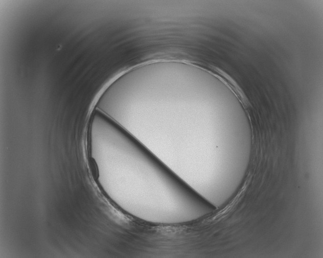 X0000082680812200702161656