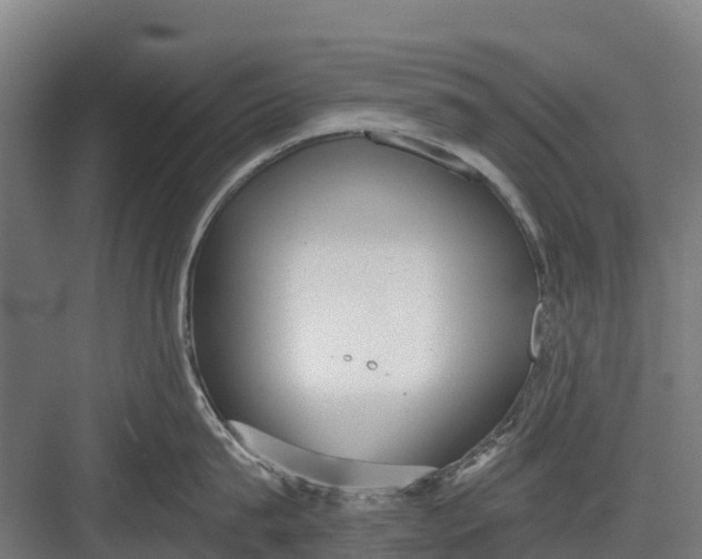 X0000082680815200702161656