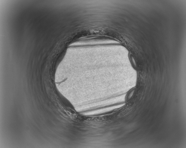 X0000082680817200702161656