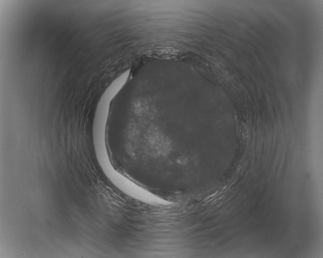 X0000082680818200702161656