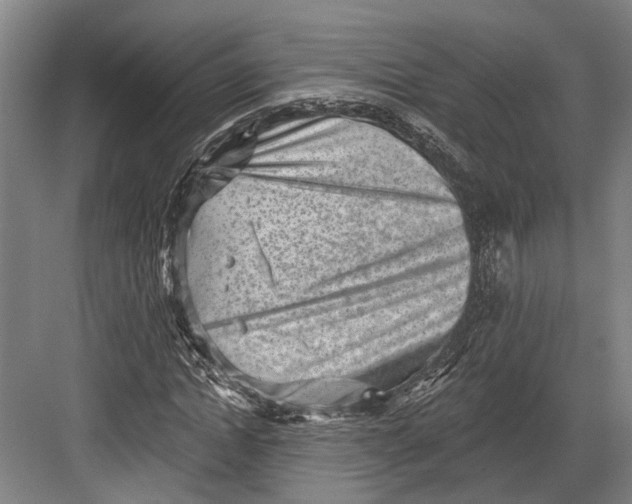 X0000082680822200702161656