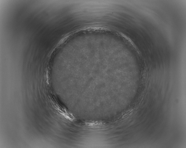 X0000082680823200702161656