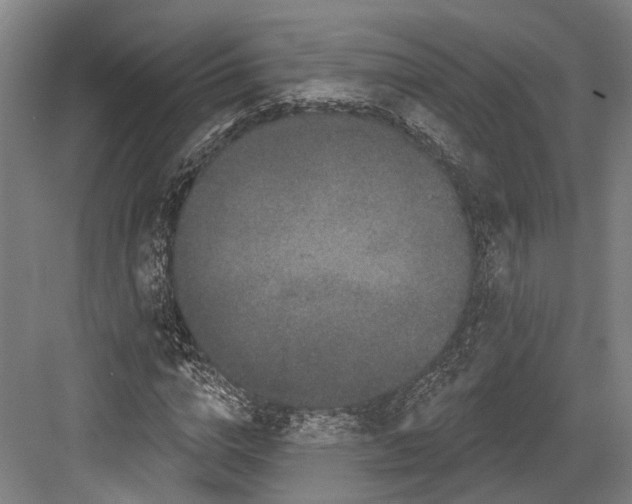 X0000082680824200702161656