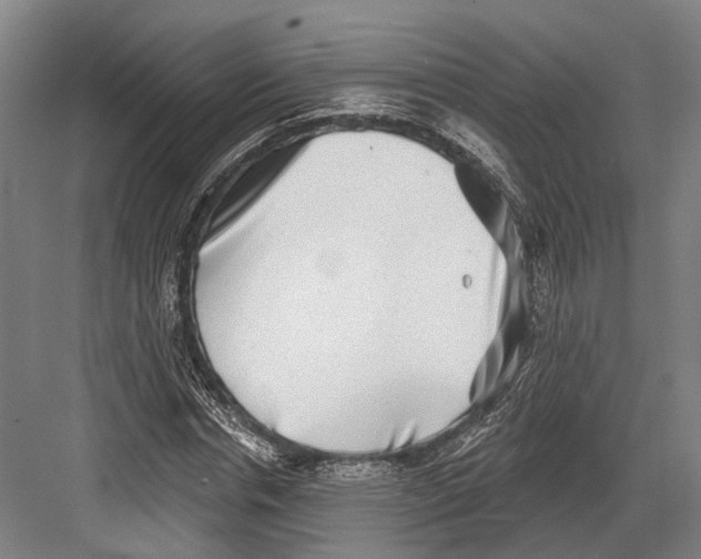 X0000082680826200702161656