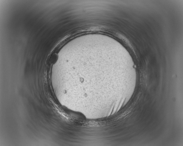 X0000082680827200702161656