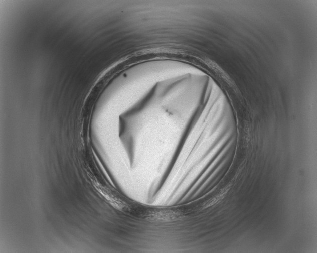 X0000082680830200702161656