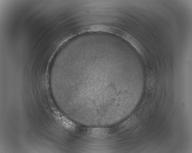 X0000082680832200702161656