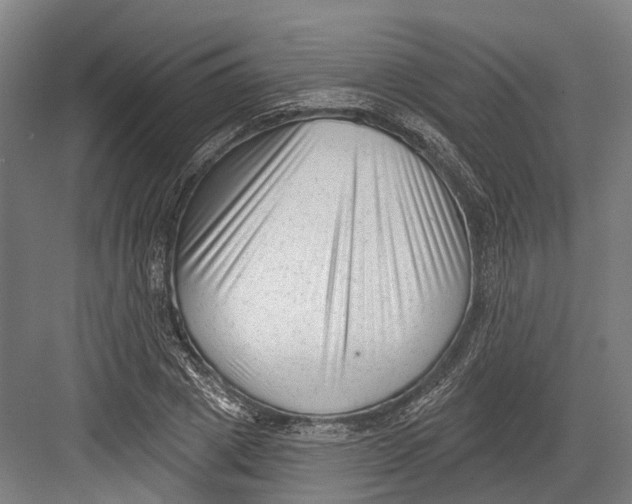 X0000082680833200702161656