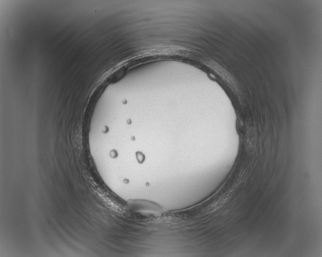 X0000082680834200702161656