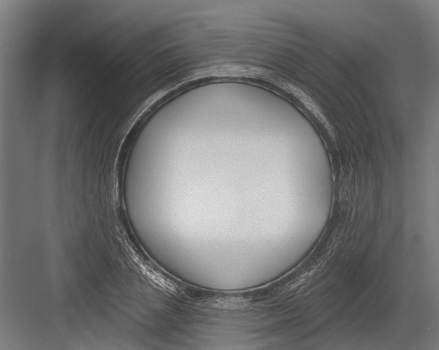 X0000082680837200702161656