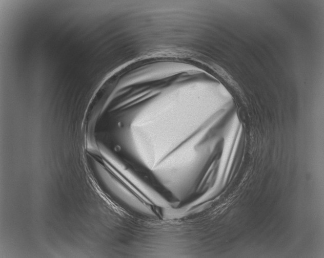 X0000082680838200702161656