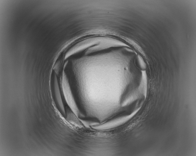 X0000082680839200702161656