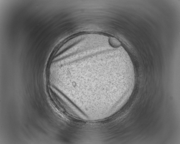 X0000082680840200702161656