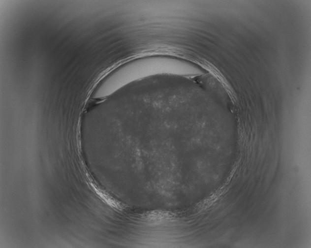 X0000082680842200702161656