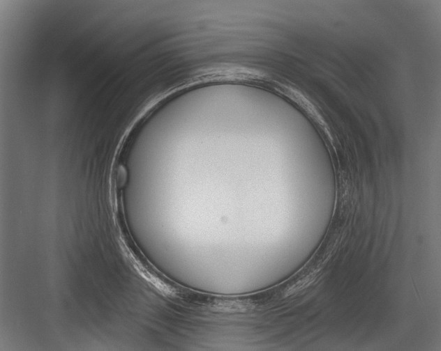 X0000082680843200702161656