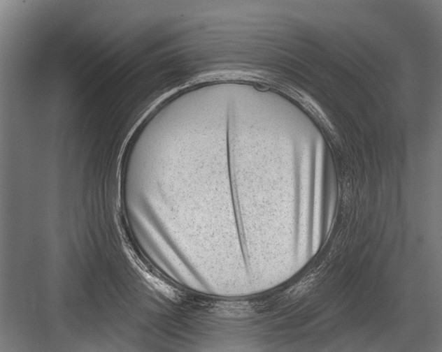 X0000082680844200702161656