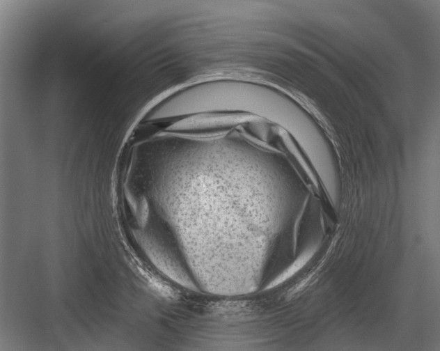 X0000082680846200702161656