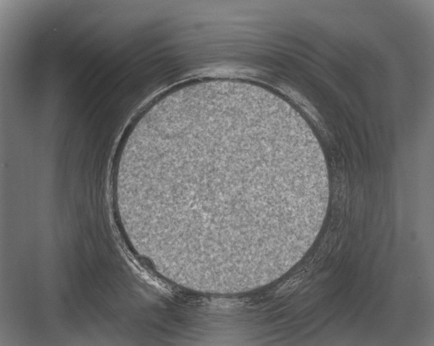 X0000082680848200702161656