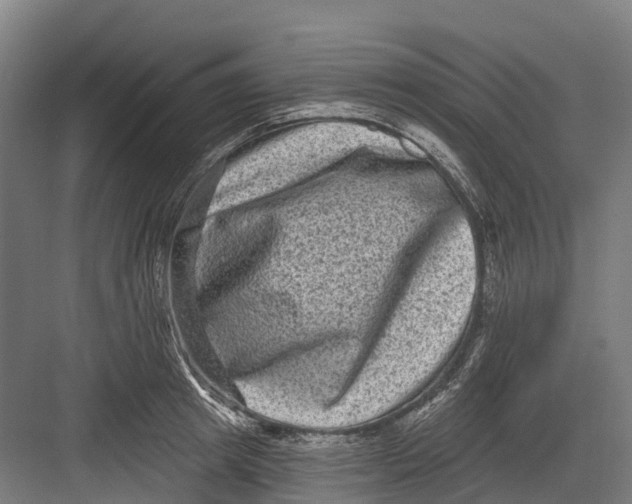 X0000082680849200702161656