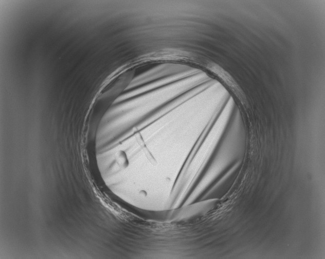 X0000082680850200702161656