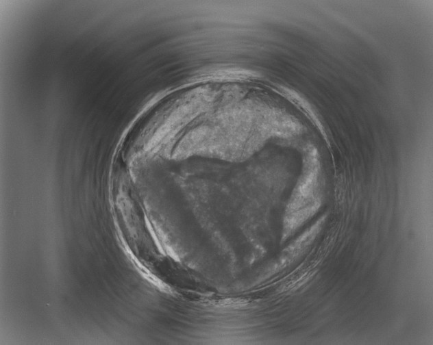 X0000082680851200702161656