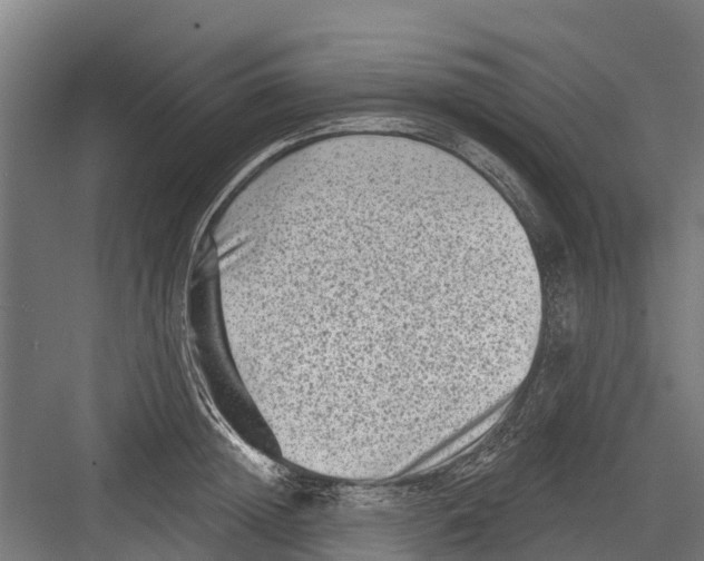 X0000082680852200702161656