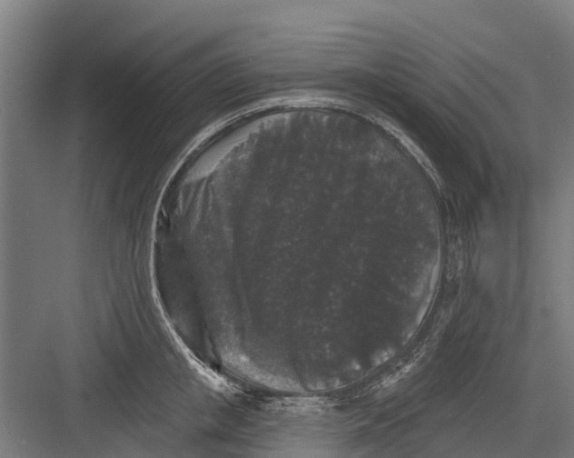 X0000082680853200702161656