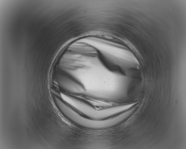 X0000082680854200702161656