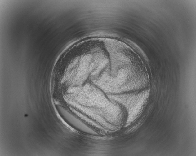 X0000082680855200702161656