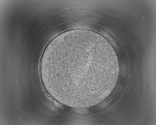 X0000082680856200702161656