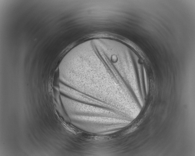 X0000082680857200702161656