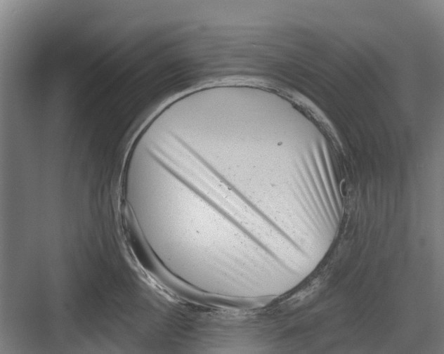 X0000082680860200702161656