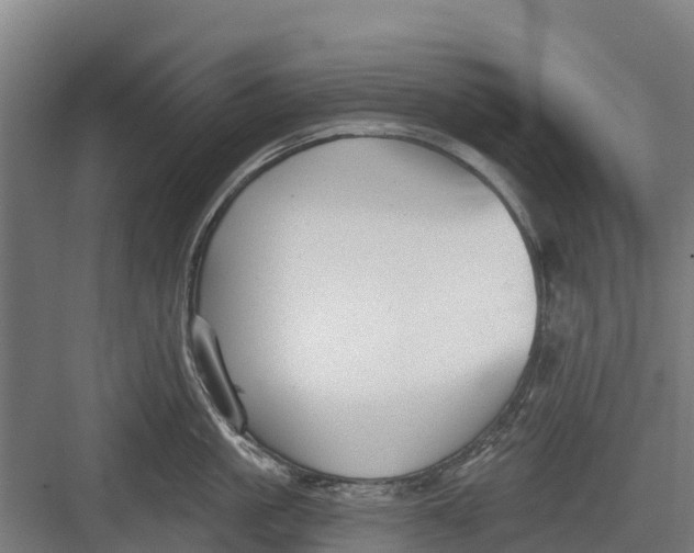 X0000082680861200702161656