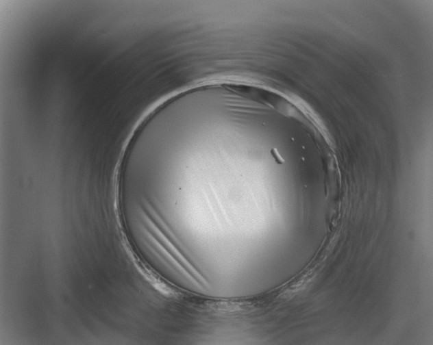 X0000082680862200702161656