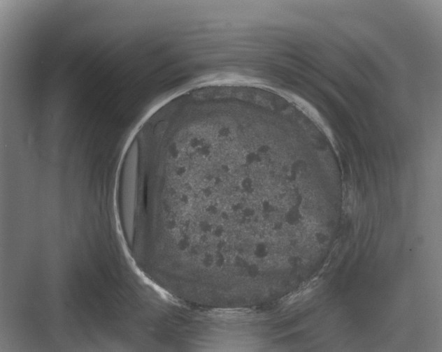 X0000082680863200702161656