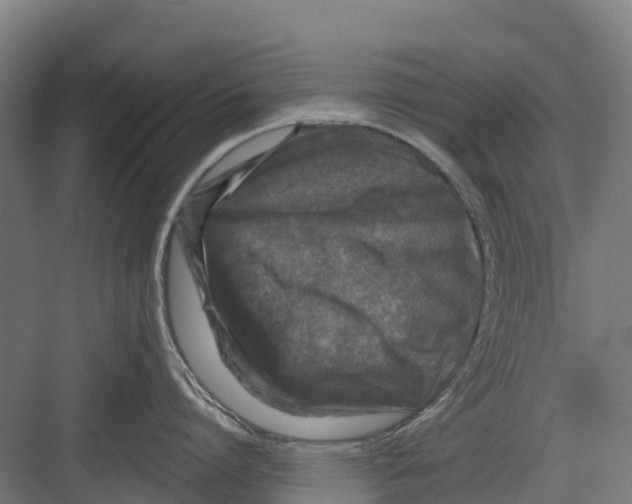 X0000082680864200702161656