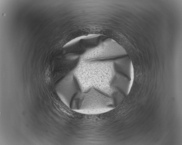 X0000082680866200702161655