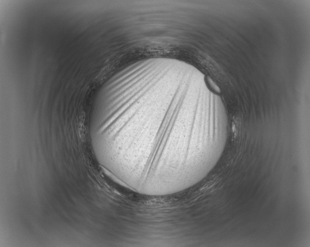 X0000082680867200702161655