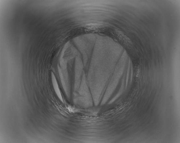 X0000082680868200702161655