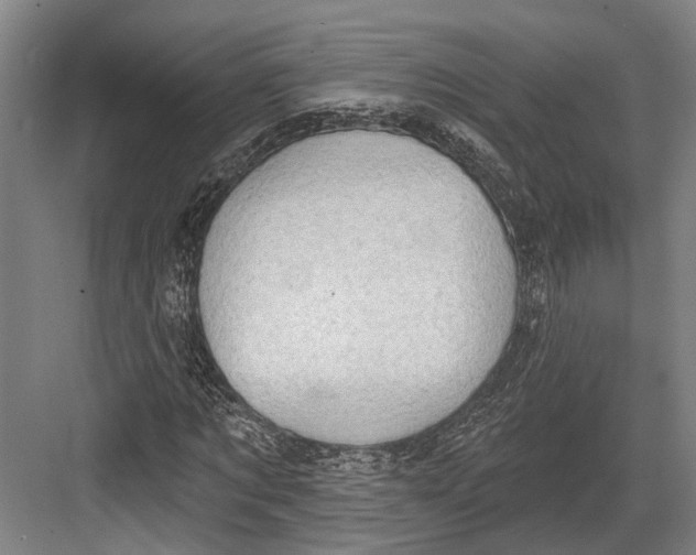 X0000082680869200702161655