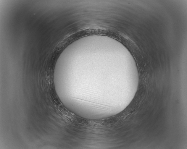 X0000082680870200702161655