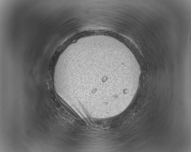 X0000082680871200702161655