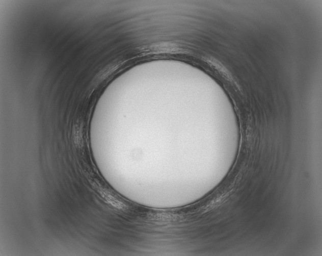 X0000082680873200702161655