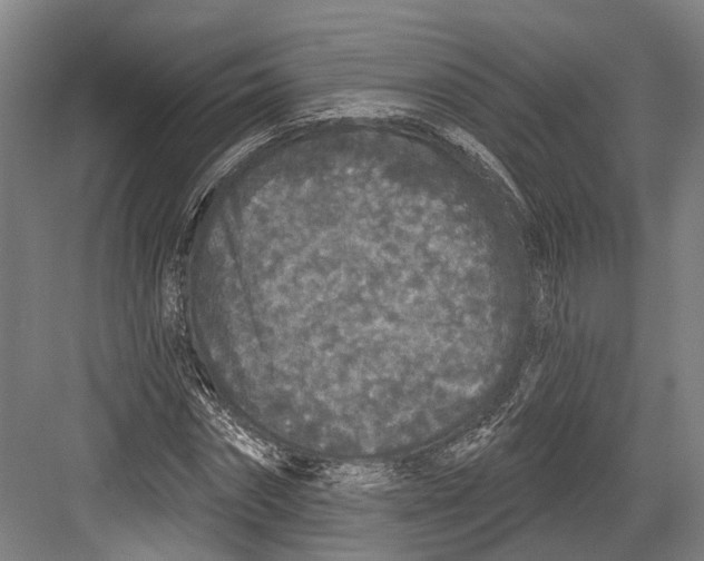 X0000082680874200702161655