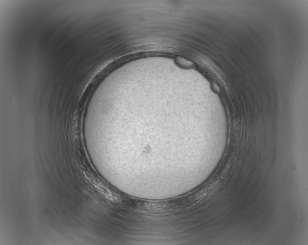 X0000082680875200702161655