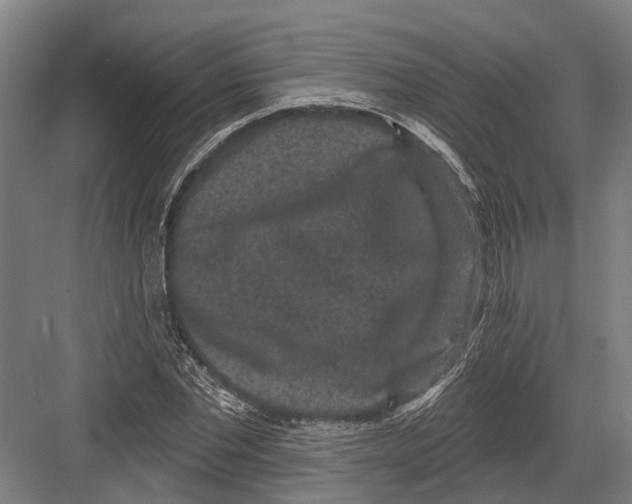 X0000082680877200702161655