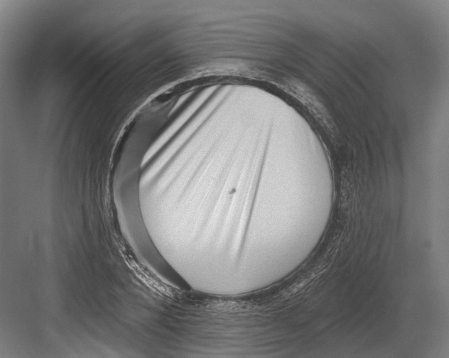 X0000082680880200702161655